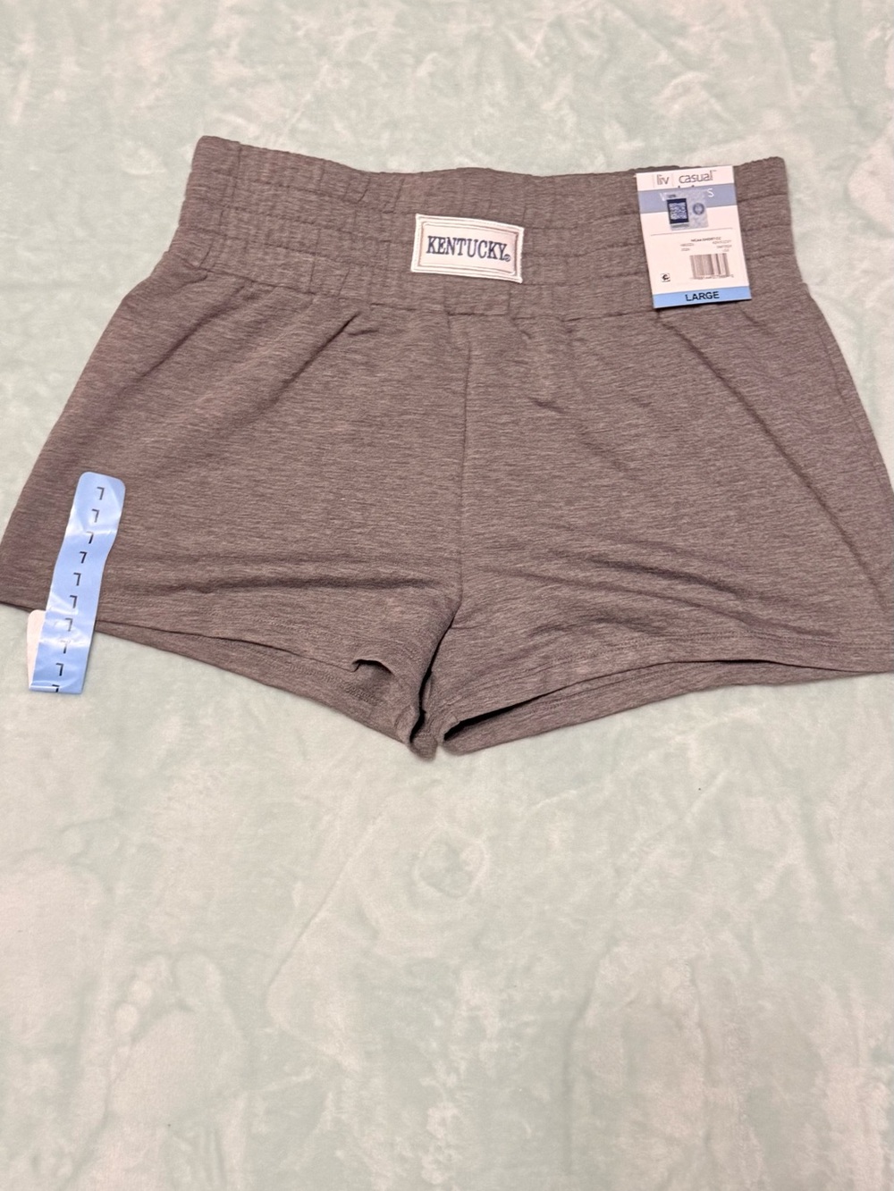 Women's Gray Casual Lounge Shorts